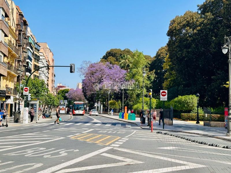 Foto 9e6944f8-0b9b-4d1b-854f-06fa0d8c5934. Pis a El Carmen Murcia