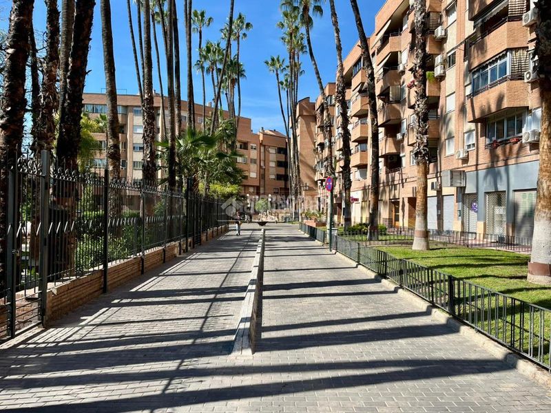 Foto f65133fb-f44d-49b4-86d9-d7bccc63058b. Pis a El Carmen Murcia