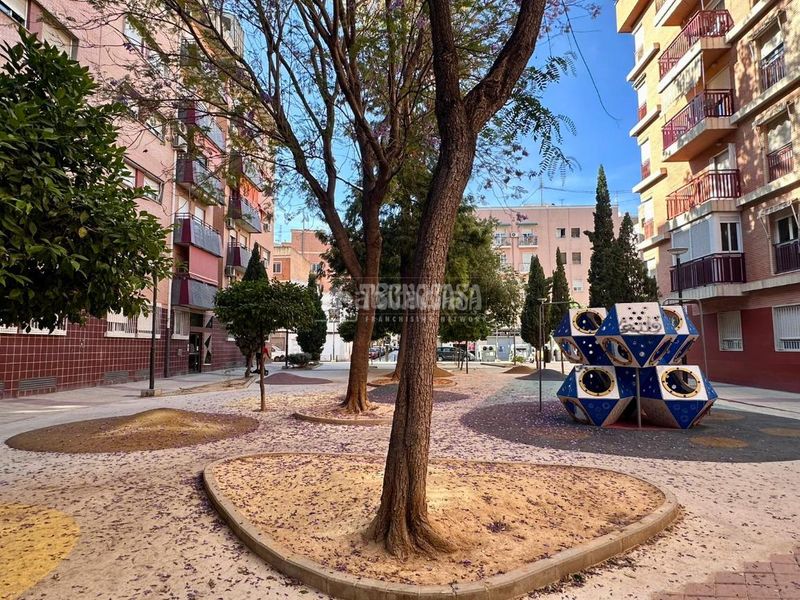 Foto 91a3a29b-1206-41c1-8dc0-e05bf9699423. Pis a El Carmen Murcia
