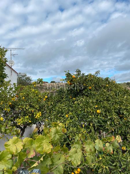 Foto 7806ed89-97c1-4e5b-9908-fb02275d7152. Casa a calle pajares 11 a Castillo de las Guardas (El)