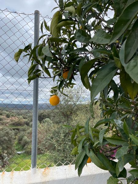 Foto c5d42f6c-b0ea-4813-8313-2b2db07b2050. Casa a calle pajares 11 a Castillo de las Guardas (El)