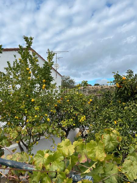 Foto e03c2f9c-41bc-4a7d-ba7f-37613abc6e71. Casa a calle pajares 11 a Castillo de las Guardas (El)
