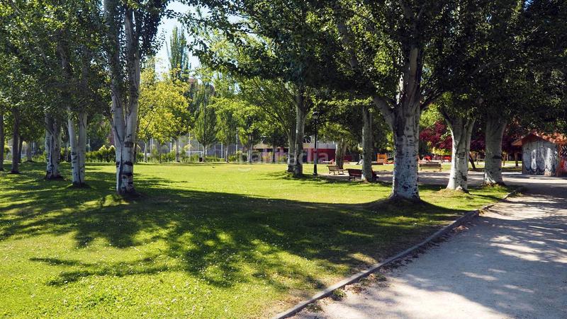 Foto 5acbe38f-8618-41a1-9306-33dff279f5a8. Lloguer apartament a calle joaquín maría jalón 7 a Valladolid