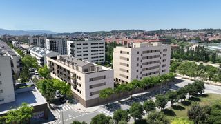 Pis  Carrer ripoll�s. Obra nova