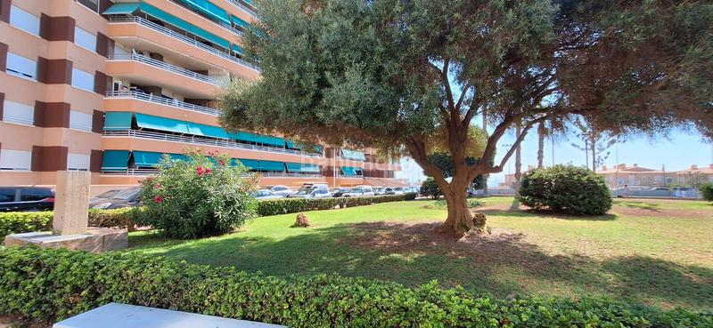 Foto 0e3230d5-2897-49da-914d-59e409ad3da1. Apartament amb aparcament a Los Europeos Torrevieja