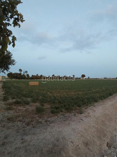 Foto 0eaf0d51-6b1a-4eaf-9548-5d38c19cad37. Fondo rustico in vereda escorredor 75 in Dolores