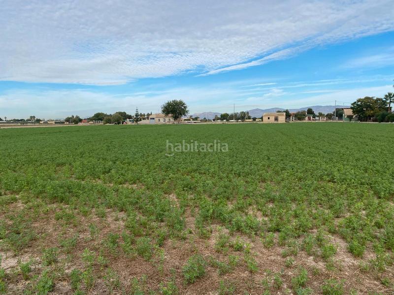 Foto 5af3c371-0f34-4d0a-b141-4020b3dacacd. Fondo rustico in vereda escorredor 75 in Dolores