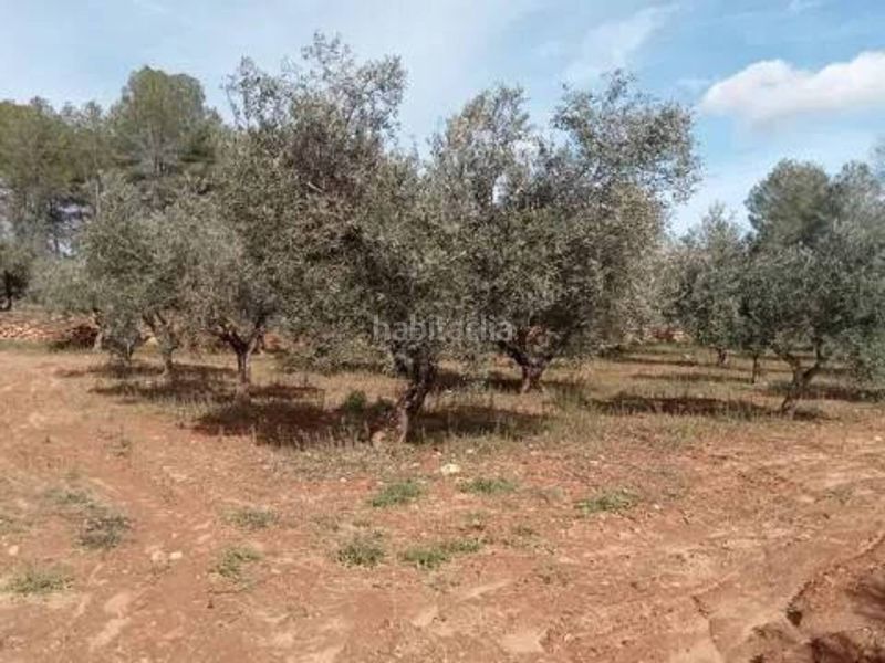 Foto 0aeb021c-8a6f-4977-bb4f-502f931b0d72. Finca rústica a Guadasséquies