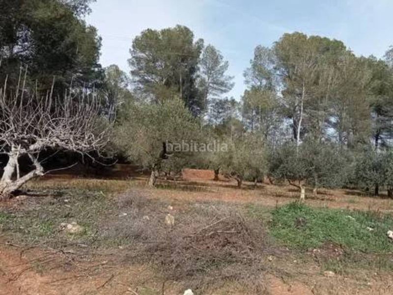 Foto 45ad67ff-07fa-49ec-8c13-a63af8ad3efe. Finca rústica a Guadasséquies