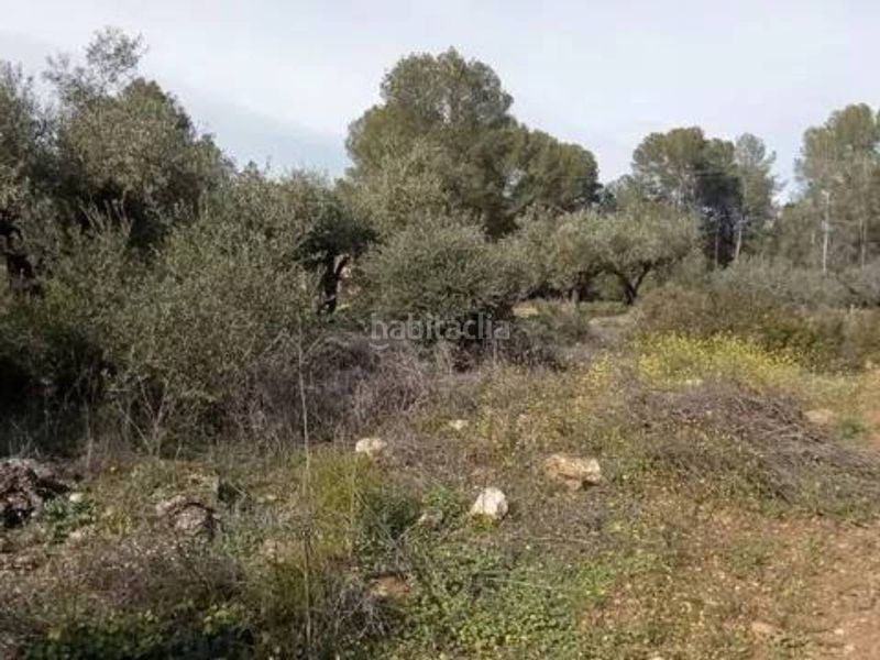 Foto 4620c6b5-a8c3-4c83-8a4c-1bc12d97b435. Finca rústica a Guadasséquies
