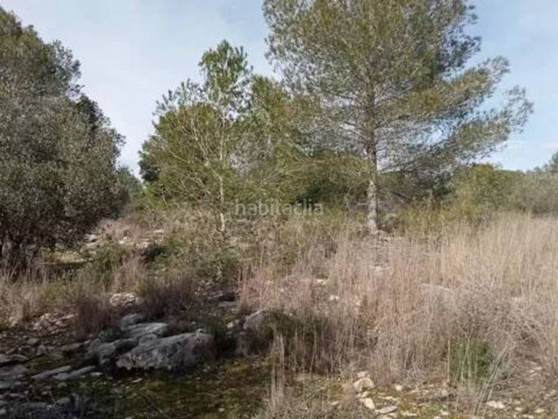 Foto 542b1ac0-4dbf-4157-b0d2-3bf93ffd1385. Finca rústica a Guadasséquies