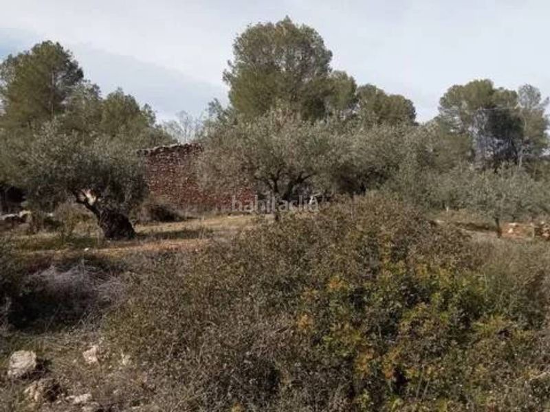 Foto 623e363a-4f4e-4029-93c6-03c864213dc7. Finca rústica a Guadasséquies