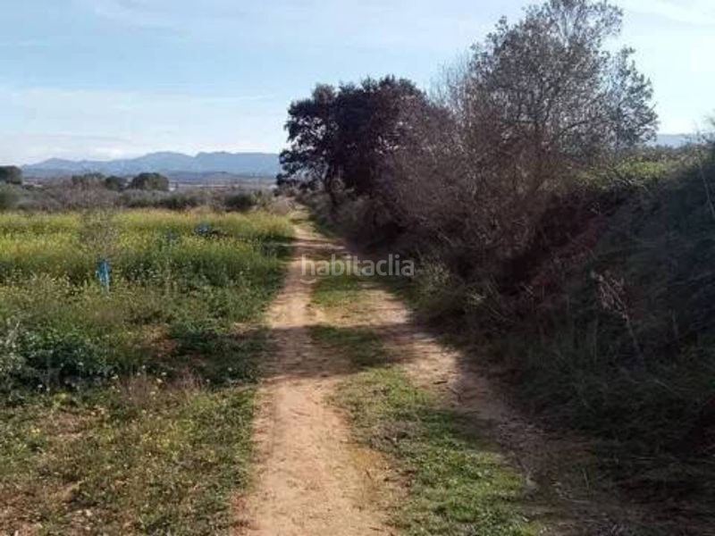 Foto 7a7887d2-62ec-49cb-b519-4f260b7c15ad. Finca rústica a Guadasséquies