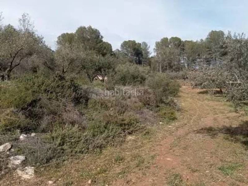 Foto b0694cf1-997b-4a1e-85c3-37d12f46bf8a. Finca rústica a Guadasséquies