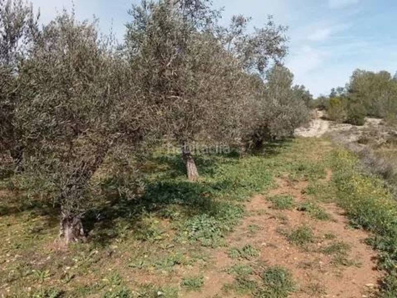 Foto e7fa85c9-e936-4a90-a4d4-2a0aa21ccc87. Finca rústica a Guadasséquies
