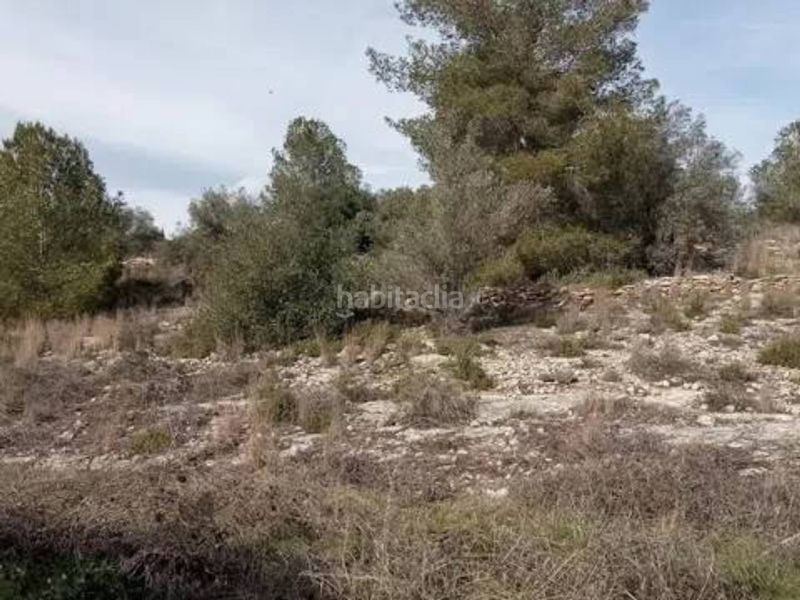 Foto ea34dba2-8126-4d4d-917a-a9da9159b78c. Finca rústica a Guadasséquies