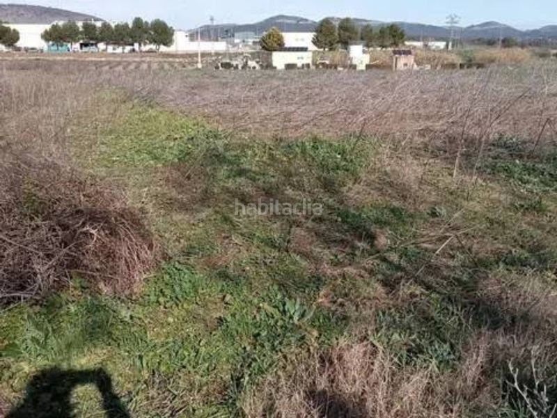 Foto 2ff60233-6871-4d79-ac2c-f17a5d70d23c. Finca rústica a Guadasséquies