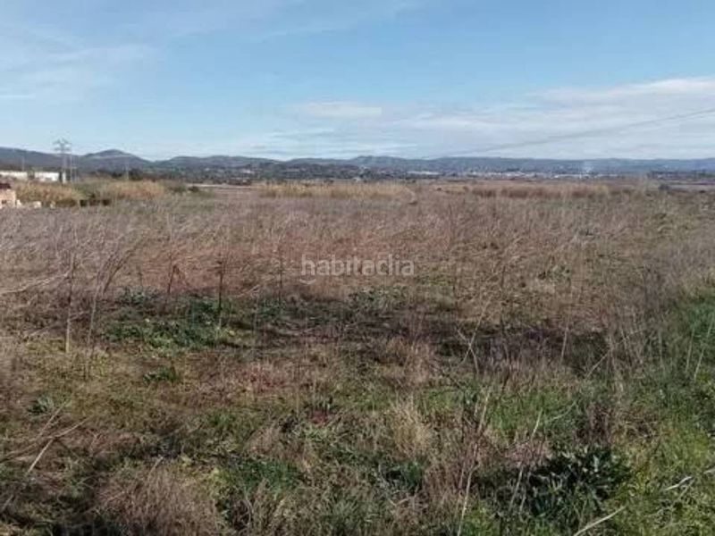 Foto 6ac1e352-93f0-43f6-88e9-7f0f3b3057cf. Finca rústica a Guadasséquies
