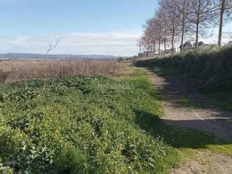 Foto 6ee0db89-8769-4e2b-80e5-a675d9f32ccc. Finca rústica a Guadasséquies