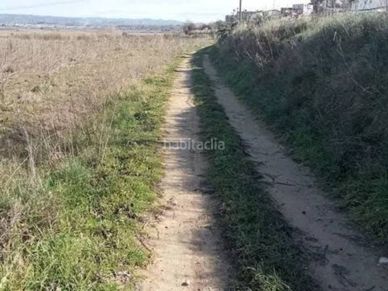 Foto a2fedf79-94a1-4915-921b-b25470de3523. Finca rústica a Guadasséquies