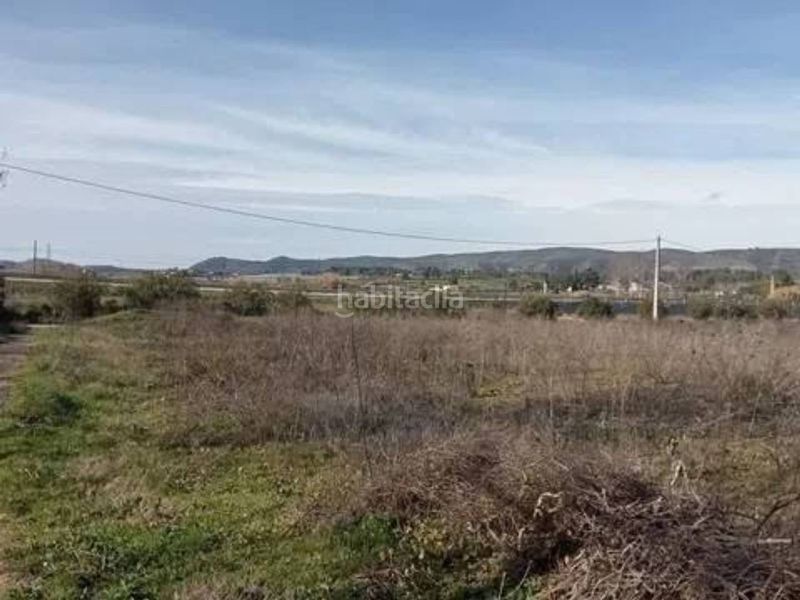 Foto cfdce7d5-d832-4213-9002-6a784e0f9dd8. Finca rústica a Guadasséquies