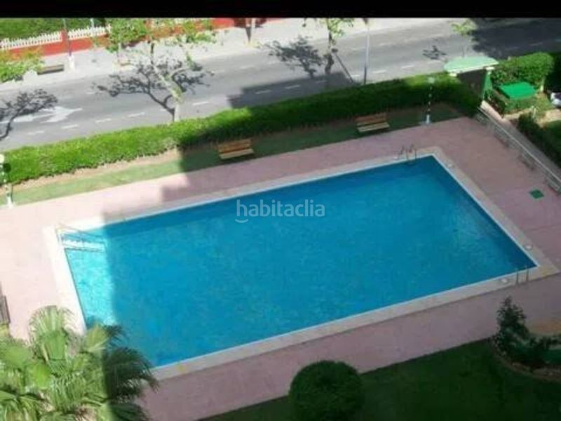 Foto 30fe08bb-9f6b-4b0b-9c6f-b11285ff8d64. Lloguer apartament amb piscina a Playa de Gandía Gandia