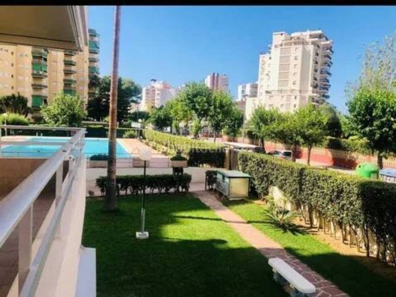 Foto 58710621-dcfb-4000-8561-5b88c079ad16. Lloguer apartament amb piscina a Playa de Gandía Gandia