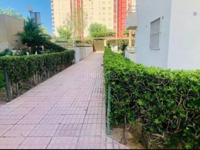 Foto 6a7025ce-8c75-4717-9bc9-44ea3909cedd. Lloguer apartament amb piscina a Playa de Gandía Gandia