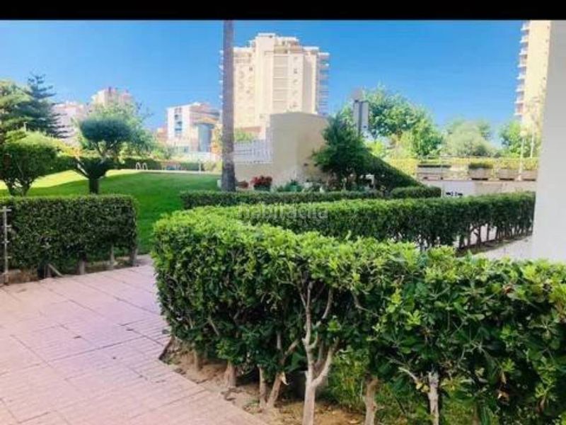 Foto aed276db-bc98-441e-8e27-6c2840acd386. Lloguer apartament amb piscina a Playa de Gandía Gandia