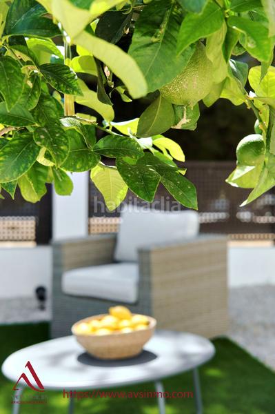 Foto e1aae8ce-bde8-4cc4-a05a-0277642221ef. Alquiler casa en calle río miño 120 apartamento lemon tree en San Pedro del Pinatar