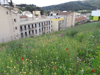 Terreno residencial  Carrer suredes (les). Solar urbano