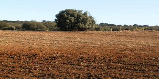 Finca rústica a Romeral (El). Gran oportunidad!!!!!