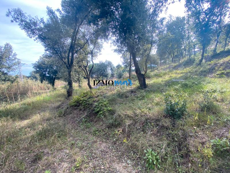 Foto 03fbb561-9478-4c8f-aeef-918b9d71ca1e. Terreno residenziale in Rocaferrera Sant Andreu de Llavaneres