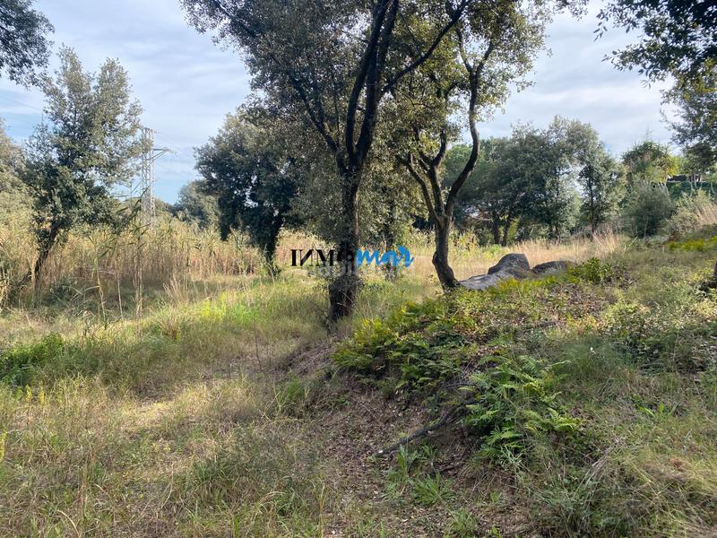 Foto 09d4dac9-7140-44c4-9ee4-0eb951336c0c. Terreno residenziale in Rocaferrera Sant Andreu de Llavaneres