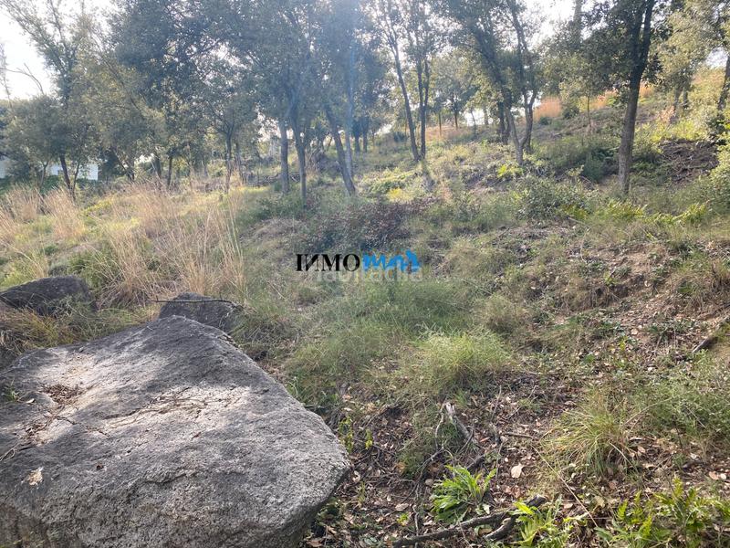 Foto 1df2953a-c741-4389-b25b-c9d3db2fe448. Terreno residenziale in Rocaferrera Sant Andreu de Llavaneres