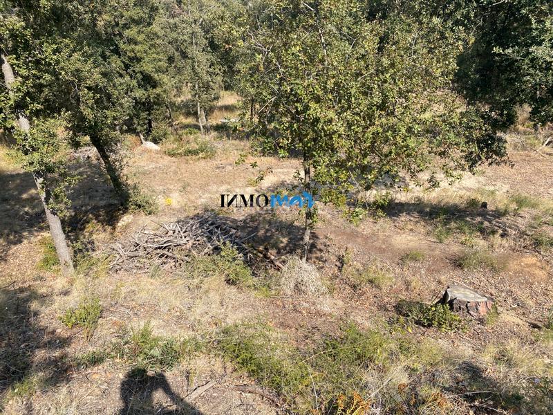 Foto 3e0d551f-f6c2-4cef-a36e-ffa8f249bea6. Terreno residenziale in Rocaferrera Sant Andreu de Llavaneres