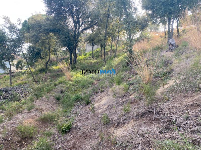 Foto 4f9baed6-fa53-4ddc-81a3-dc7abc68a2fc. Terreno residenziale in Rocaferrera Sant Andreu de Llavaneres