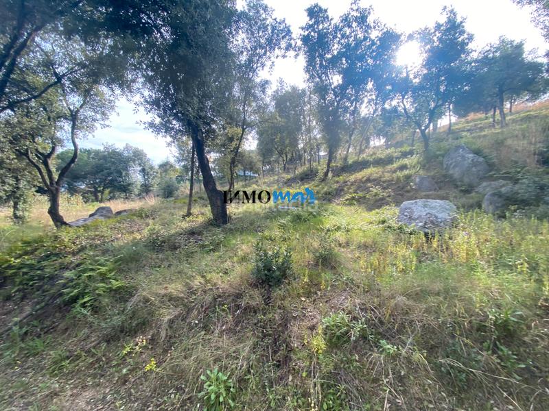 Foto 560dff3c-2650-4beb-a574-b6bd85722427. Terreno residenziale in Rocaferrera Sant Andreu de Llavaneres