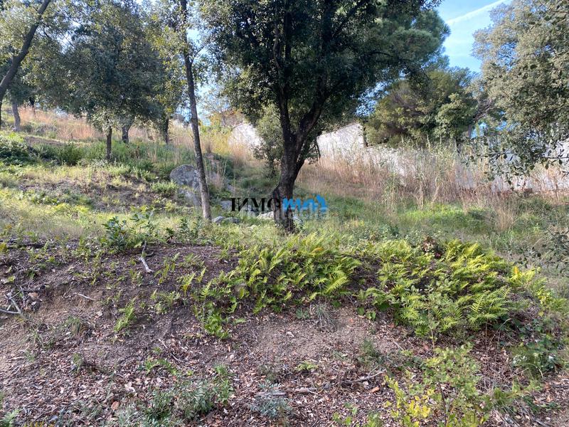 Foto 7ddb98a4-afda-4422-8b79-53944d544a86. Terreno residenziale in Rocaferrera Sant Andreu de Llavaneres