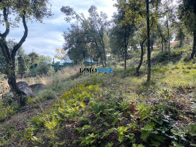 Foto 7f885de0-bccd-4f15-a0b8-092be26e2710. Terreno residenziale in Rocaferrera Sant Andreu de Llavaneres