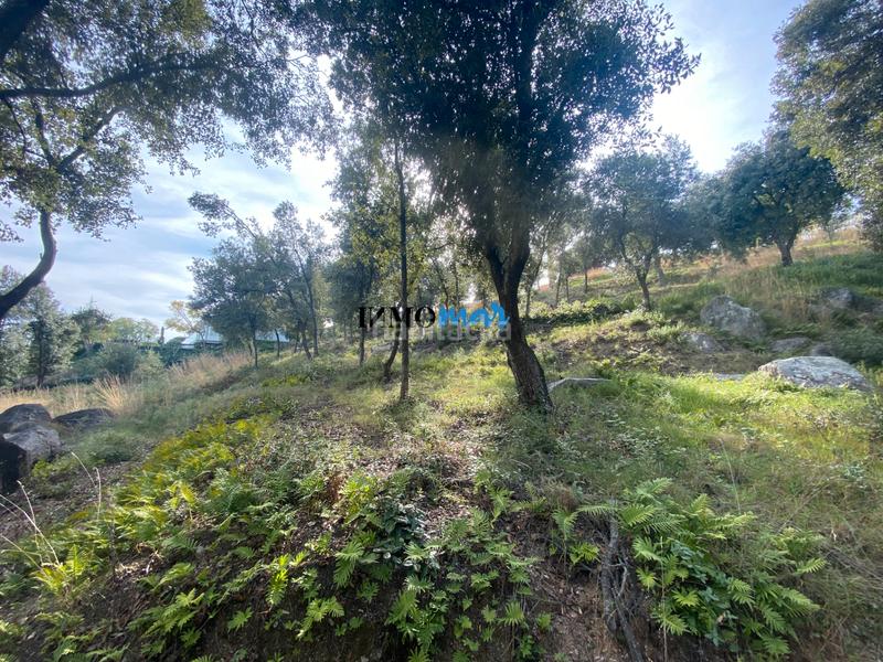 Foto 81c8fc69-23ce-4b71-8772-aa54a874ef85. Terreno residenziale in Rocaferrera Sant Andreu de Llavaneres