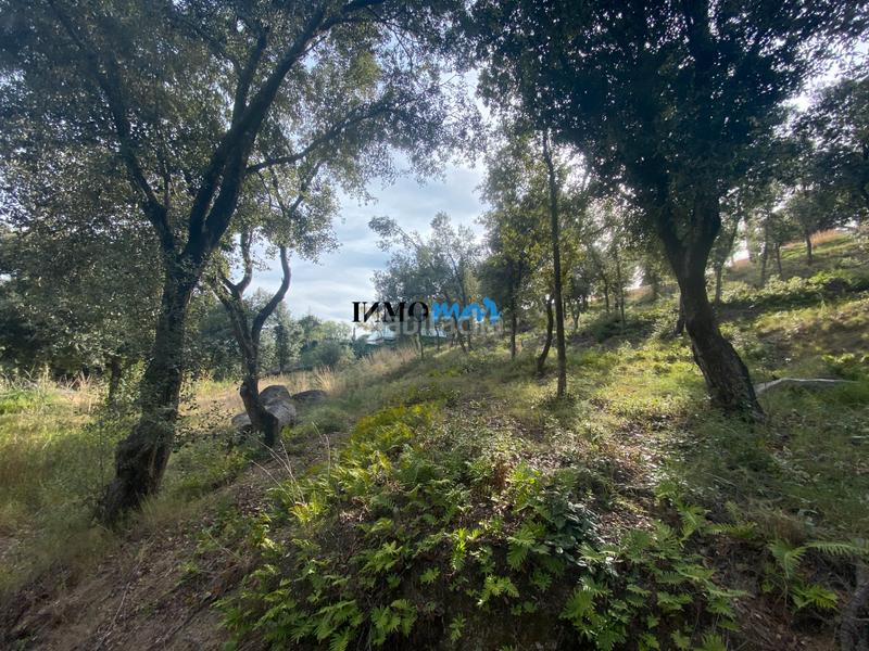 Foto 890c1f52-ced6-4520-ab10-482443634256. Terreno residenziale in Rocaferrera Sant Andreu de Llavaneres