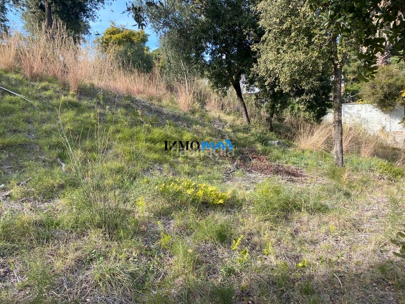 Foto 89b0ce37-7b77-4f08-9321-90e932fd06ab. Terreno residenziale in Rocaferrera Sant Andreu de Llavaneres