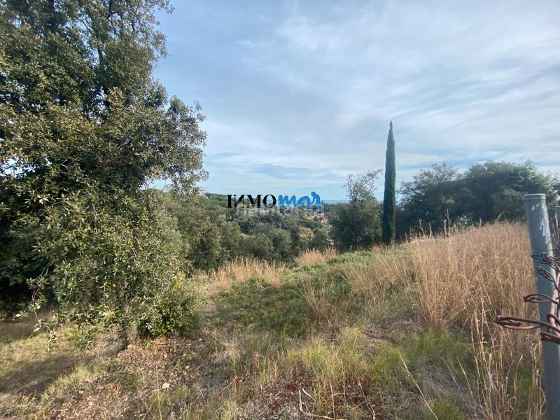 Foto 8a7ec461-75b7-4302-97a0-6300e74db865. Terreno residenziale in Rocaferrera Sant Andreu de Llavaneres
