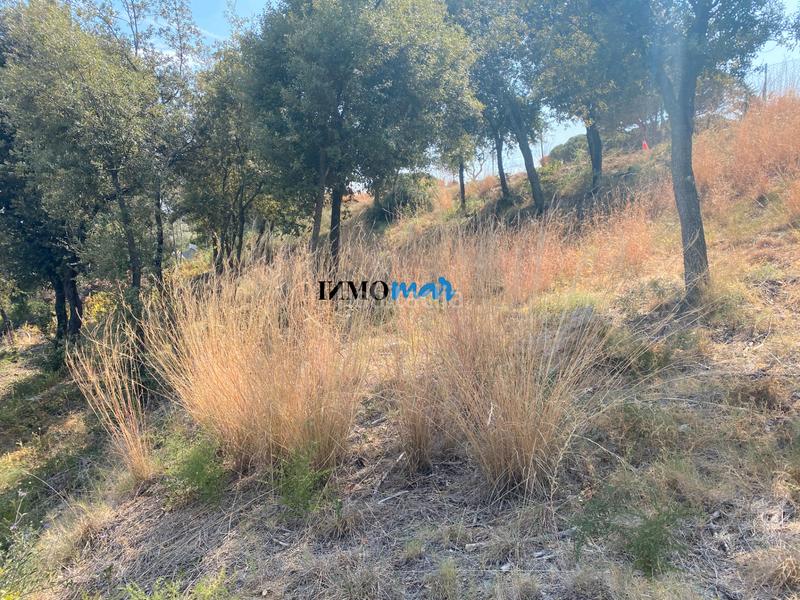 Foto a5e2c557-3b16-4790-9588-198121307303. Terreno residenziale in Rocaferrera Sant Andreu de Llavaneres