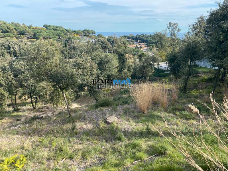 Foto cb059c17-f535-44e7-8266-43636e76e898. Terreno residenziale in Rocaferrera Sant Andreu de Llavaneres