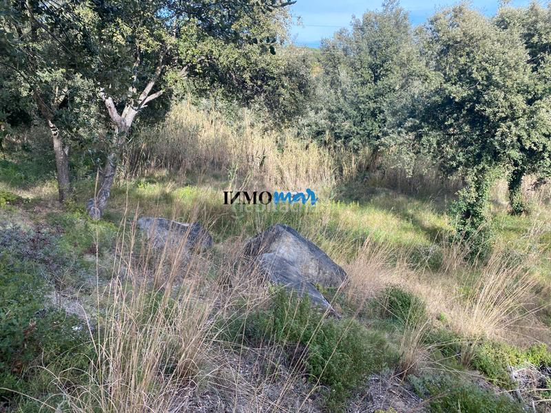 Foto d321c5be-39a6-46d2-b8a6-6f5fd2279541. Terreno residenziale in Rocaferrera Sant Andreu de Llavaneres