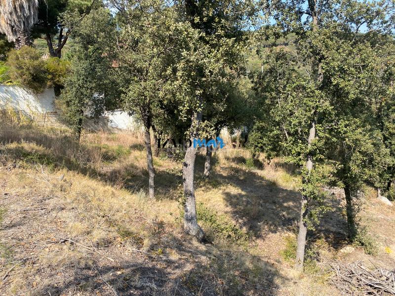 Foto df3513e7-f6ff-446e-b6ee-bd5265362ea4. Terreno residenziale in Rocaferrera Sant Andreu de Llavaneres