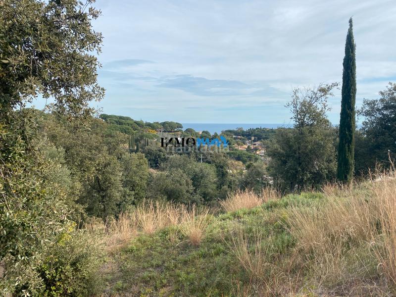 Foto fb03292e-22a1-4b52-b1e1-2c4e8bfa5b1d. Terreno residenziale in Rocaferrera Sant Andreu de Llavaneres