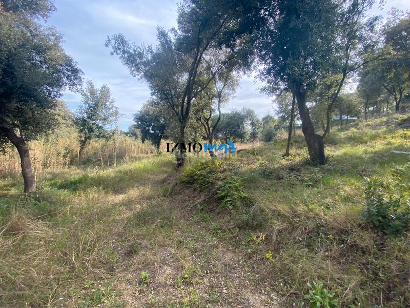 Foto fb0dd3cb-0261-4f1e-ad90-a6248c27ab10. Terreno residenziale in Rocaferrera Sant Andreu de Llavaneres